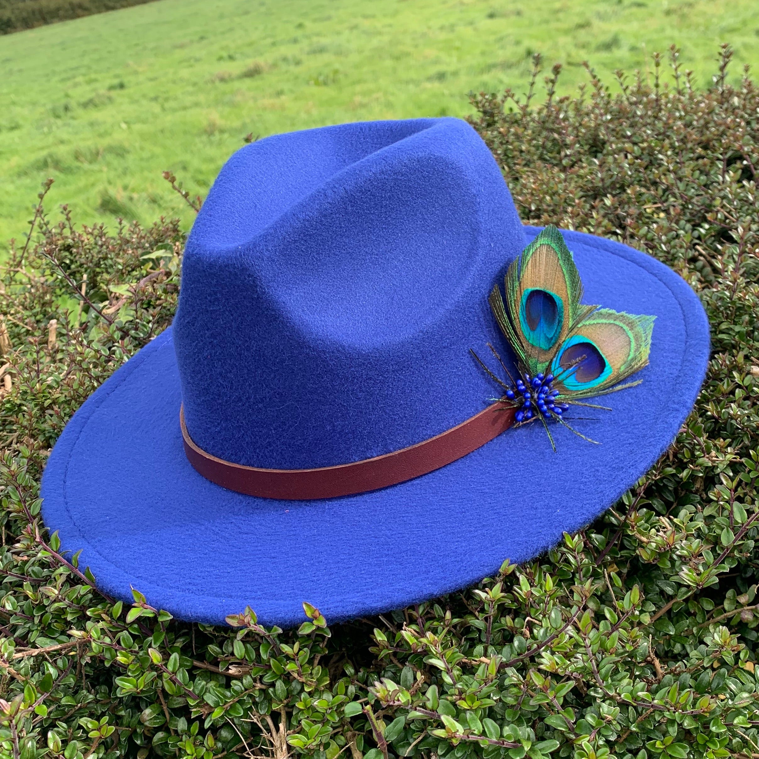 Royal blue fedora with peacock feathers